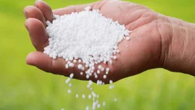 ৩ দেশ থেকে এক লাখ মেট্রিক টন সার কিনবে সরকার