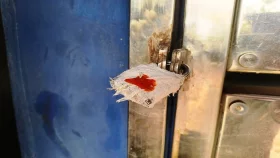 কালিয়াকৈরে সেই অবৈধ ক্লিনিক সিলগালা
