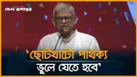 নির্বাচনে সব দলের অংশগ্রহণ চান মির্জা ফখরুল