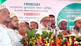 জামায়াতকে ভোট দেওয়া ধর্মীয়ভাবে বৈধ নয়: মনির কাসেমী