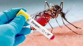 ডেঙ্গুতে ঝরল আরও ৪ প্রাণ