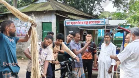 ঢেঁড়শ গাছ থেকে পাটের আঁশ