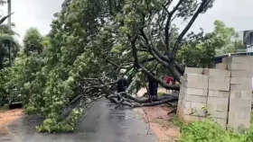 ঘূর্ণিঝড় &lsquo;মোন্থা&rsquo;র তাণ্ডবে অন্ধ্র প্রদেশে একজন নিহত