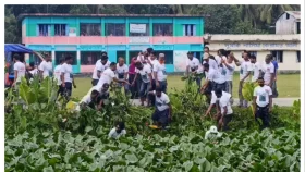দুমকিতে যুবদলের উদ্যোগে পিরতলা খাল পরিষ্কার অভিযান