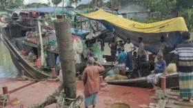 এক জালে ১৫০ মণ ইলিশ, বিক্রি ৪০ লাখ টাকায়