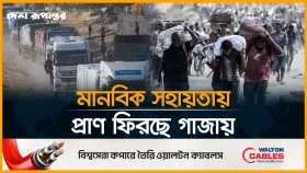যু/দ্ধ/বি/র/তির পর গাজায় ব্যাপক ত্রাণ সহায়তা পৌঁছাচ্ছে