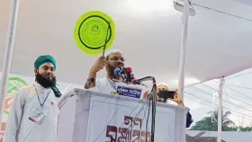 সব মার্কা দেখা শেষ, হাতপাখার বাংলাদেশ: ফয়জুল করিম