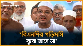 সংসদ নির্বাচনের দিন গণভোট গুরুত্বহীন: চরমোনাই পীর
