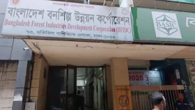 হবিগঞ্জে রাবার বাগানের গাছ বিক্রির টেন্ডারে অনিয়মের অভিযোগ&nbsp;