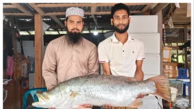 এক কোরাল বিক্রি হলো ২৬ হাজারে&nbsp;