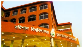ববিতে ১ বছর পরও নেই ছাত্রদলের নতুন কমিটি