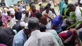 আমতলীতে জব্দ জাটকা বিতরণের আগেই লুট!