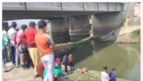 উল্লাপাড়ায় ব্রিজের নিচ থেকে অজ্ঞাতনামা যুবকের লাশ উদ্ধার&nbsp;