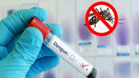 রাজশাহীতে ডেঙ্গু আক্রান্ত হয়ে ২ জনের মৃত্যু