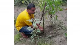 প্রকৃতির ভারসাম্যে সুমন রাফির সবুজ উদ্যোগ