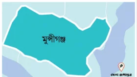 মুন্সীগঞ্জে যুবলীগের ৩ নেতাকর্মী আটক