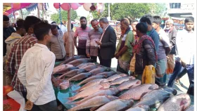 জয়পুরহাটের জামাইদের নিয়ে ঐতিহ্যবাহী মাছের মেলা