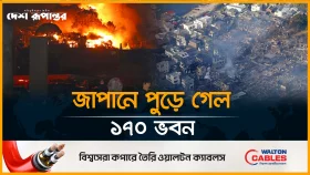 জাপানে এক রাতে ১৭০ ভবন আ*গুনে পু*ড়ে ছাই