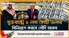 সৌদি আরবকে প্রধান নন-ন্যাটো মিত্র হিসেবে স্বীকৃতি দিল যুক্তরাষ্ট্র