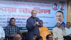 রাজনীতিবিদদের হাতেই রাজনীতি থাকা উচিত: রিজভী