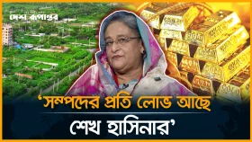 প্লট দুর্নীতি মামলার পর্যবেক্ষণ: শেখ হাসিনাকে লোভী বললেন বিচারক