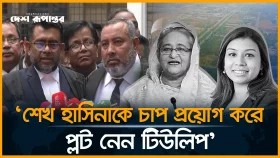 টিউলিপের সাজা কার্যকর করতে ব্রিটিশ সরকারের সঙ্গে যোগাযোগ করা হবে