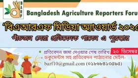 &lsquo;বিএআরএফ মিডিয়া অ্যাওয়ার্ড-২০২৫&rsquo; এর জন্য প্রতিবেদন আহ্বান