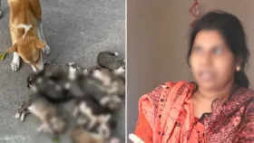 পথ কুকুর বা বিড়াল হত্যা করলে বাংলাদেশের আইনে কী শাস্তি আছে