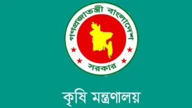 সীমিত আকারে পেঁয়াজ আমদানির অনুমতি দিচ্ছে সরকার