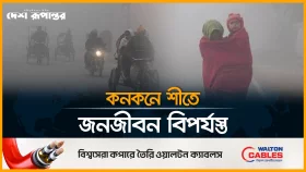 তেঁতুলিয়ায় জেঁকে বসেছে শীত, তাপমাত্রা নেমে ১০.৫ ডিগ্রি