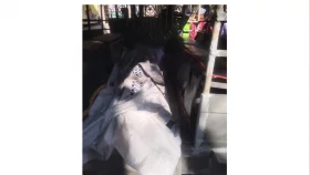 গাড়ির ধাক্কায় মোটরসাইকেল আরোহী  নিহত
