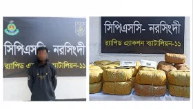 আড়াইহাজারে ৬৮ কেজি গাঁজাসহ গ্রেপ্তার ১
