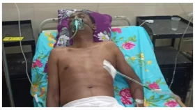 বন্য হাতির আক্রমণে আহত বনবিট কর্মকর্তা