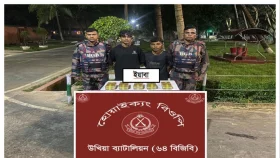 কক্সবাজারে ইয়াবাসহ মাদক কারবারি গ্রেপ্তার ২