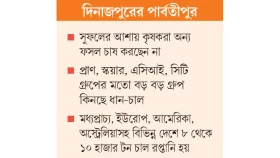 কাটারিভোগে কাটা পড়ছে ফসল বৈচিত্র্য