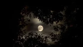 বছরের দীর্ঘতম রাত আজ