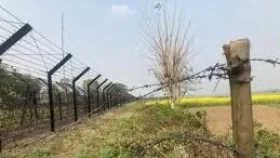 আঙ্গরপোতা সীমান্তে বিএসএফ সদস্যকে আটক করল বিজিবি