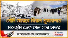 ইতিহাসের রেকর্ড তুষারপাত, বরফে ঢেকেছে সৌদির মরুভূমি