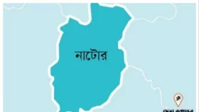 বড়াইগ্রামে ইয়াবাসহ ট্রাক জব্দ: চালকের সহকারী আটক