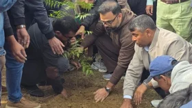 সংবর্ধনাস্থলে ক্ষতিগ্রস্ত গাছের বদলে নতুন চারা রোপন বিএনপির