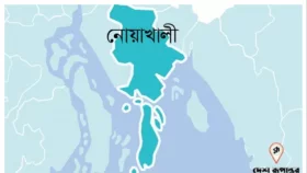 হাতিয়ায় চাঁদা না দেওয়ায় ব্যবসায়ীর ওপর হামলা