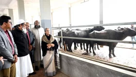 গলদা-বাগদা চিংড়ি সংরক্ষণ করে পরিকল্পিত উৎপাদন বাড়াতে হবে