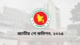 পে-স্কেল নিয়ে ফের সভায় বসছে পে-কমিশন, আলোচনায় যা থাকছে