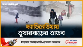 নরওয়ে-সুইডেন-ফিনল্যান্ডে শক্তিশালী তুষারঝড়: প্রা/ণ গে/ল ৩ জনের