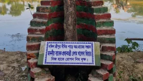 খালেদা জিয়ার নিজ হাতে রোপণ করা নিমগাছটি এখন স্মৃতি