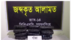 ময়মনসিংহে গাঁজাসহ গ্রেপ্তার ২