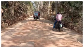 কাজ না করেই ৪৪ কোটি টাকা আ. লীগ নেতার পকেটে