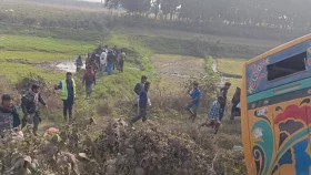 সরাইলে বাস খাদে উল্টে পড়ে, আহত ১২