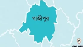 কালিয়াকৈরে ছাদ থেকে পড়ে মাদ্রাসা শিক্ষার্থীর মৃত্যু