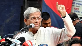 অবৈধ অস্ত্র উদ্ধারে সরকার ব্যর্থ: মির্জা ফখরুল